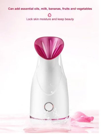 Nano Ionic Facial Steamer